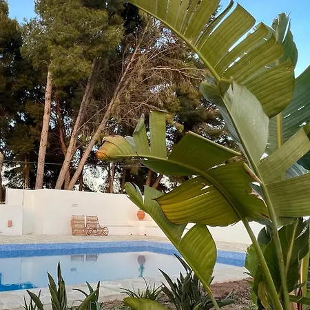 Boutique Casa 381 - Adults Only Bed & Breakfast *